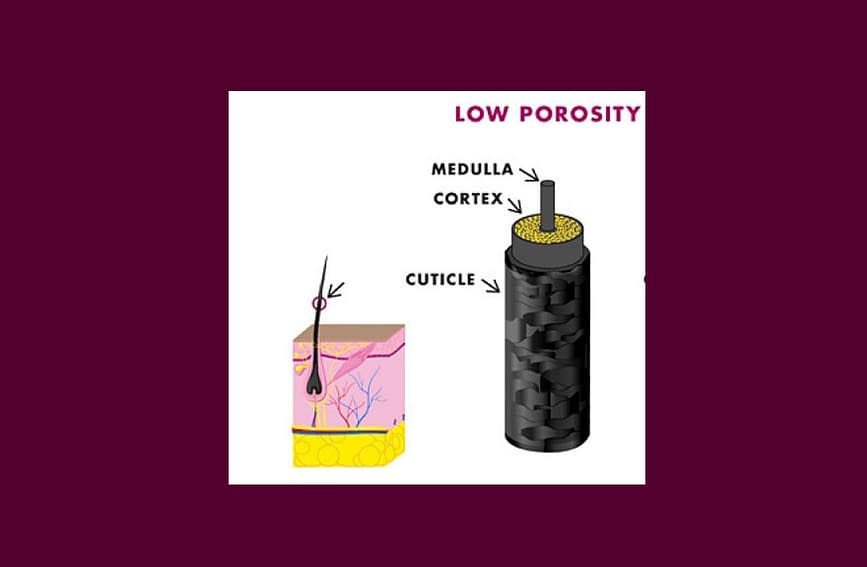 Niedrige Porositat Mixed Uniquely You